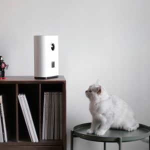 Xiaomi Youpin Pawbby MG-PSM001A Smart Pet Feeder