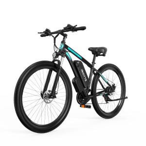 Duotts C29 Electric Bike