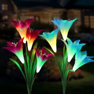 Novashion Outdoor Solar Stake Lights for Garden, Patio, and Backyard (Purple and Blue)