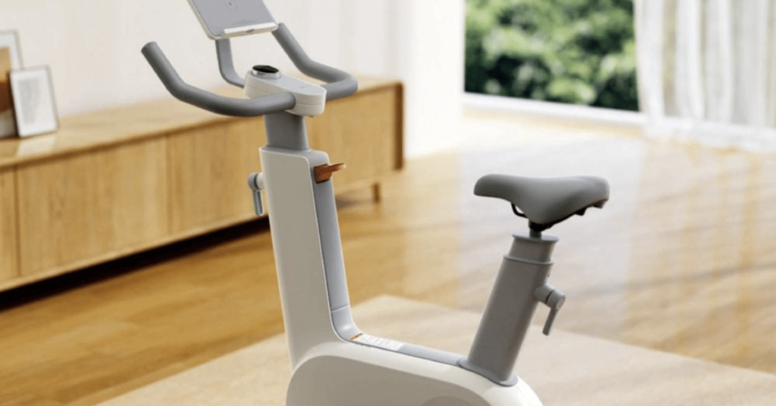 Xiaomi Mijia Spinning Bike