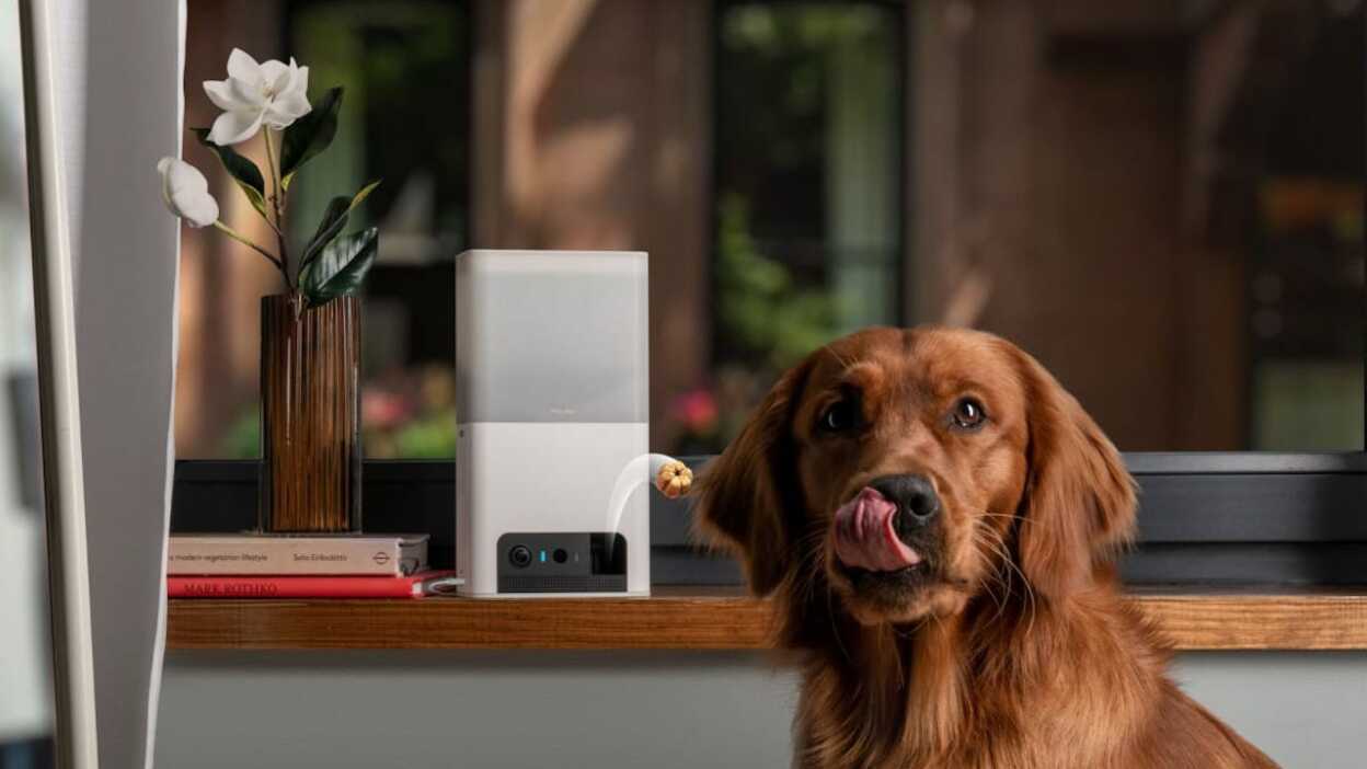 Petcube Bites 2 Pet Camera with Treat Dispenser tech trends