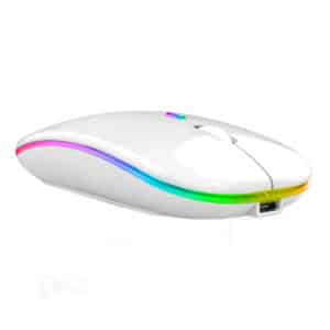 Dual Mode Wireless Mouse 800-1600DPI