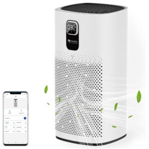 Proscenic A9 Air Purifier