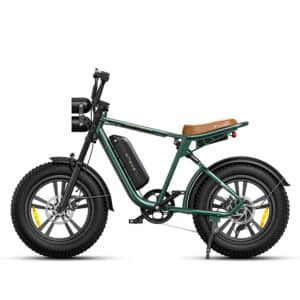 Engwe M20 Electric Bike