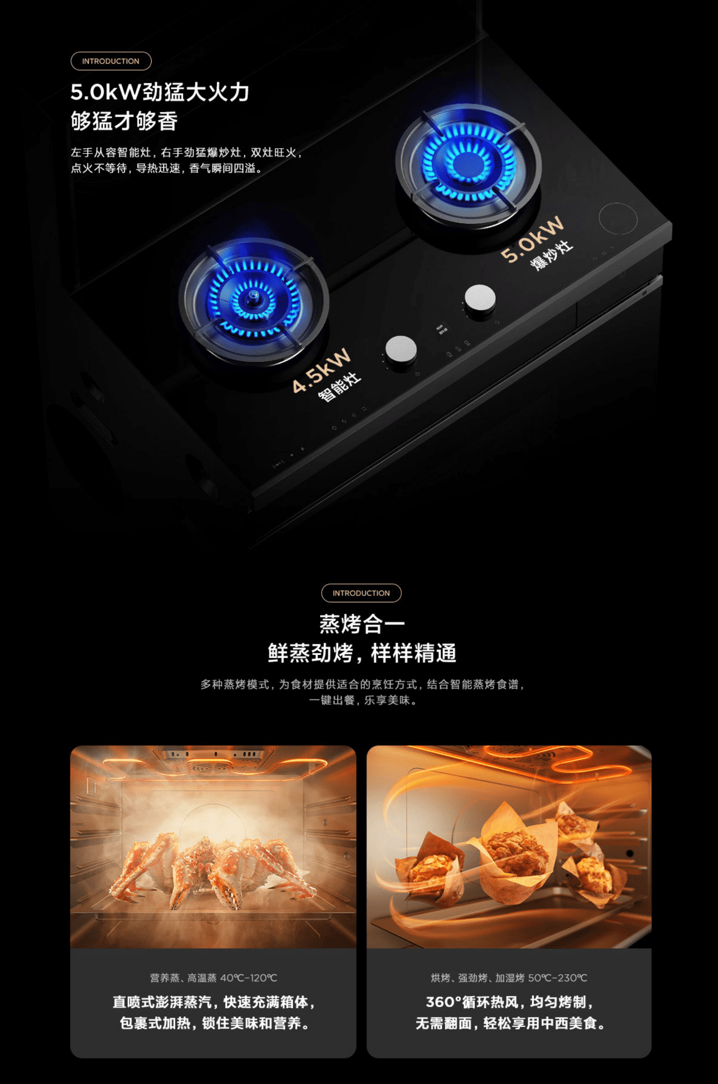 Xiaomi Mijia Smart Integrated Stove S1