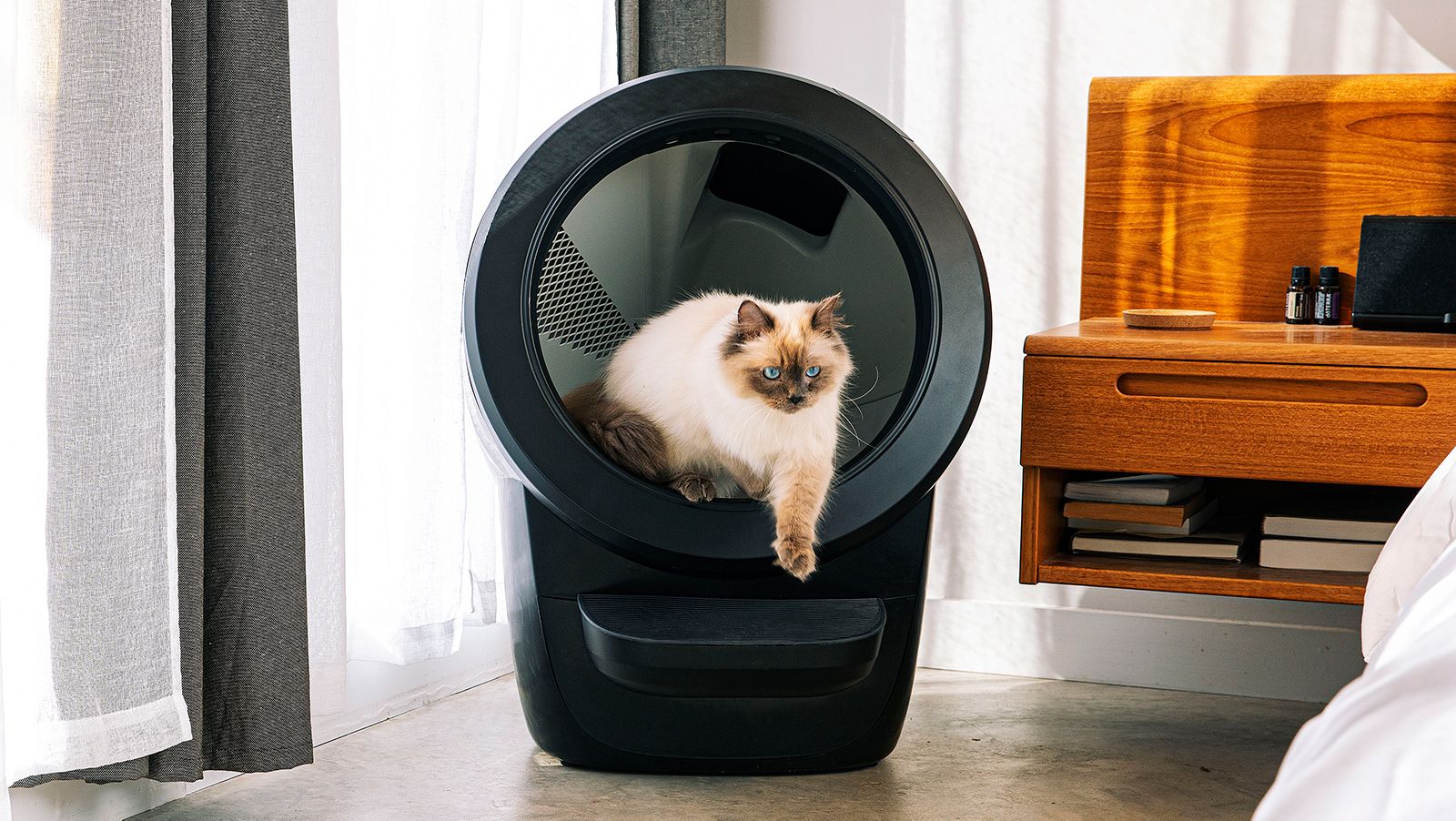 Litter Robot: Self-Cleaning Litter Box