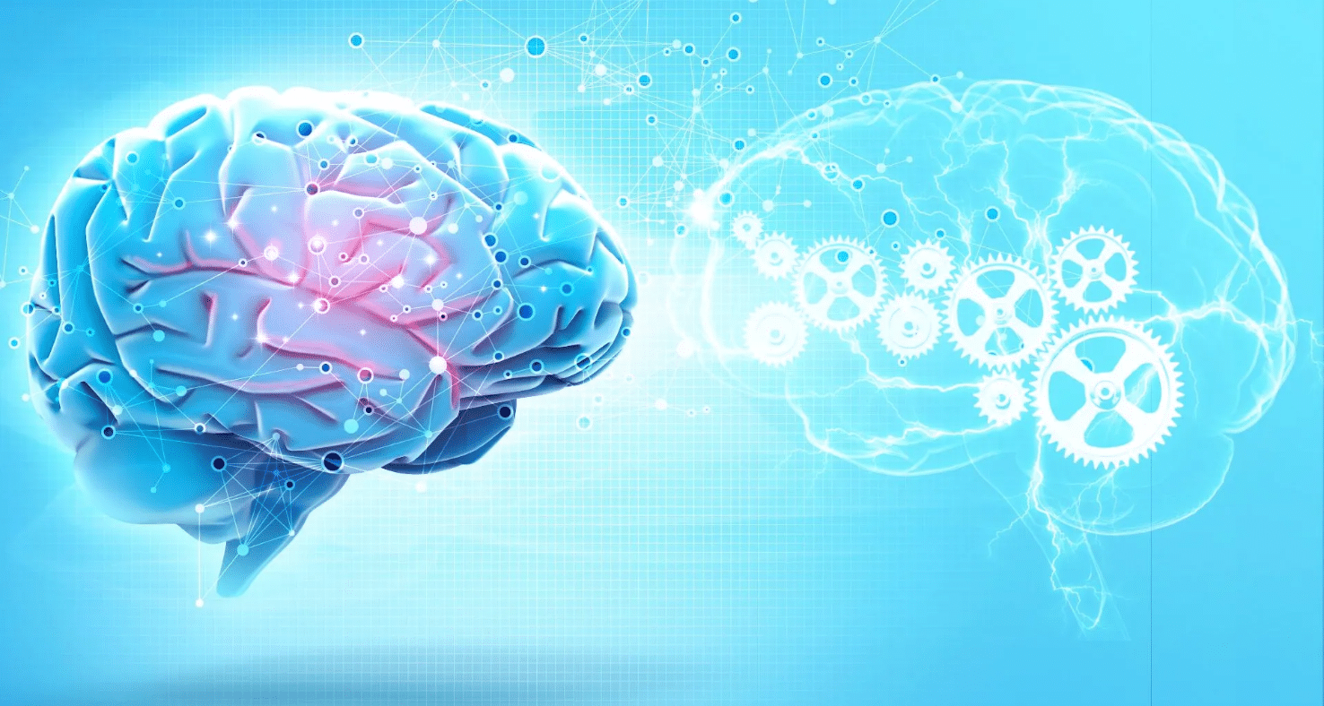 AI Human Brain