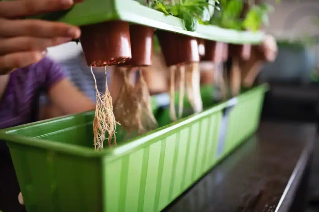 home hydroponics