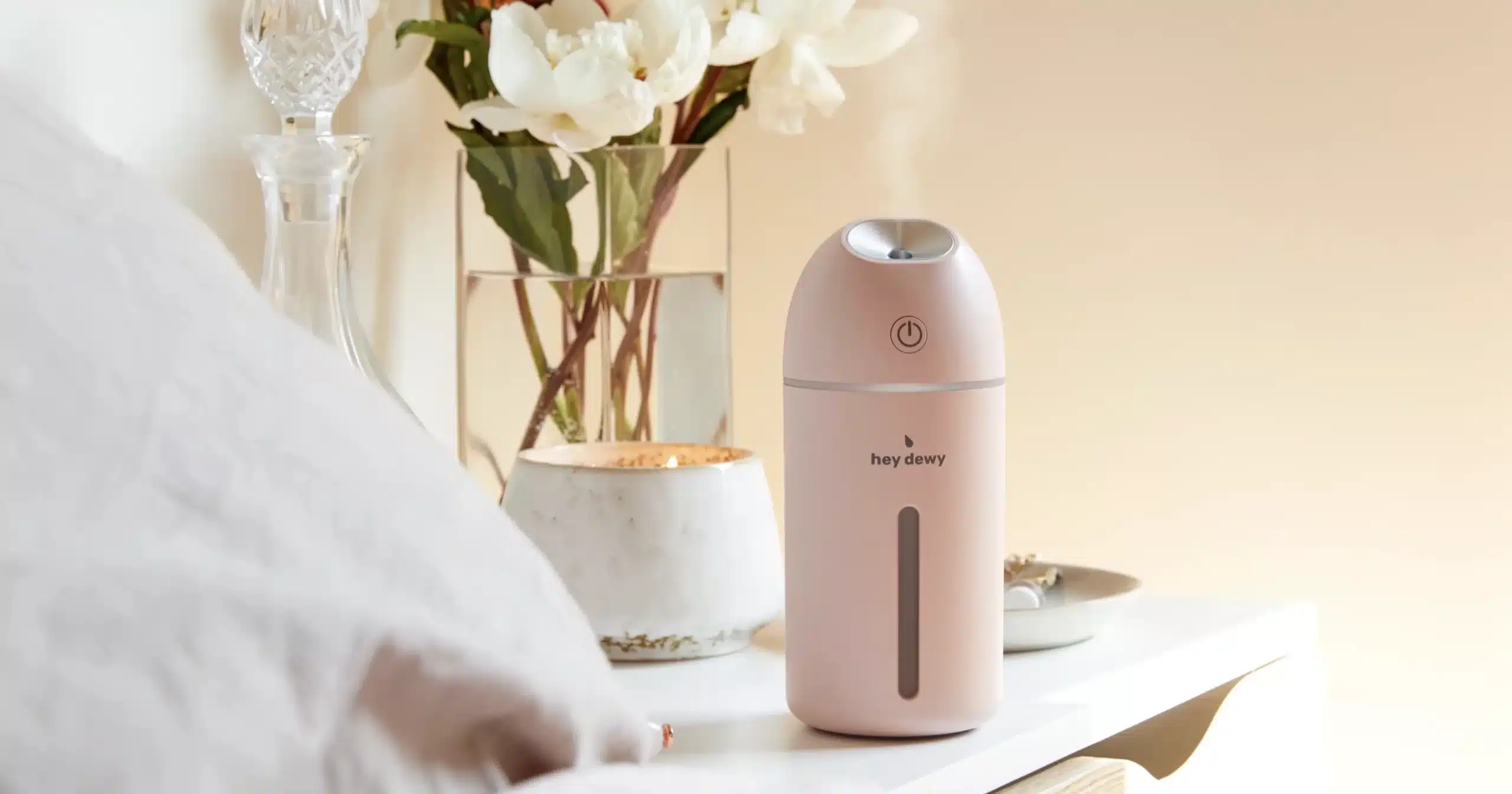 Hey Dewy Portable Facial Humidifier