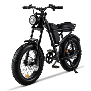Riding Times Z8 Electric Bike