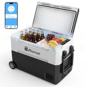Foursun Car Refrigerator Dual Zone