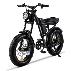 Riding Times Z8 Electric Bike