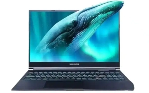 Mechrevo Aurora Pro 2024 New Version: Add i5-13450HX and RTX 4060 Version