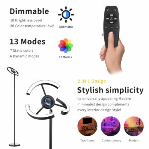 Ankishi Floor LED Lamp w/ Remote Control