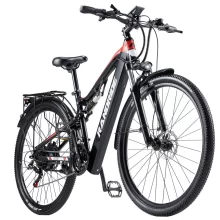 RANDRIDE YG90B-29 Electric Bike