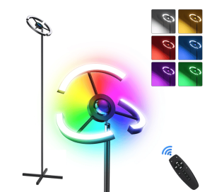Ankishi Floor LED Lamp w/ Remote Control