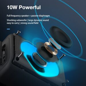 AirAux AA-WM2 TWS Speaker