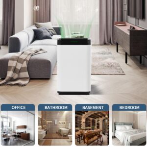 Neutrality 25L/Day Dehumidifier