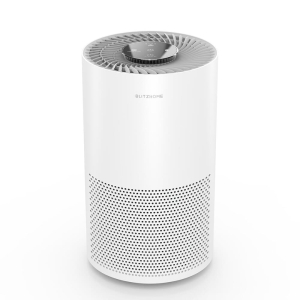 BlitzHome BH-AP1C Smart Air Purifier