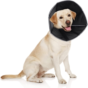 BKVESHI Cone Shape Dog Protective Collar