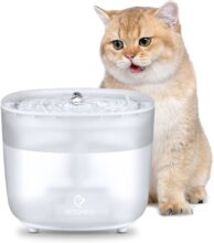 2L Wireless Ultra Quiet Drinking Fountain for Cats