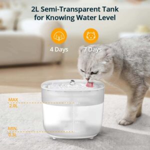 2L Wireless Ultra Quiet Drinking Fountain for Cats