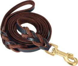 Leather Dog Leash 6 ft Single Handle