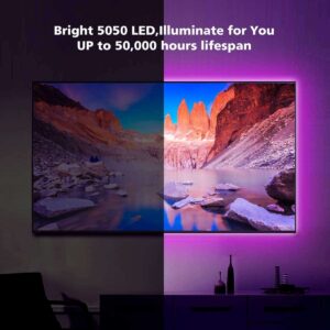 39.3FT/12M LED Strip Light Kit with Remote Controller
