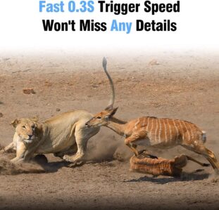 Chanarily 16MP 1080P Infrared 20m Night Vision Hunting Camera