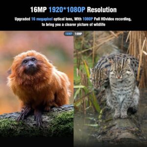 Chanarily 16MP 1080P Infrared 20m Night Vision Hunting Camera