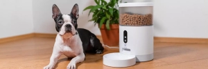 Revolutionizing Pet Care: Smart Feeders for a Connected Canine Era