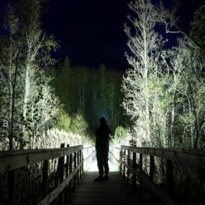 Xanes P500 Flashlight