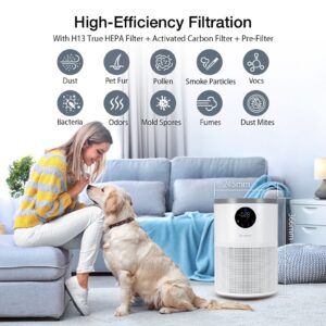 BlitzHome BH-AP2501 Air Purifier
