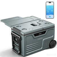 Foursun TAW-45D 48L Dual Zone Portable Car Refrigerator Freezer