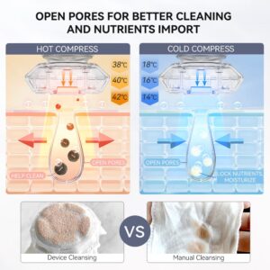 ANLAN Multifunction RF Facial Massagers