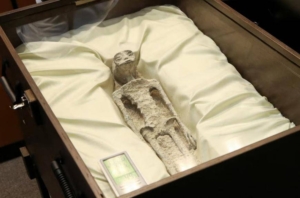 Alien Corpses on Display in Mexican Congress, DNA Contains!