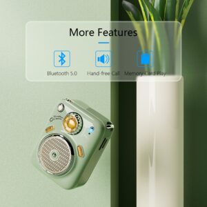 Divoom Beetles Mini Bluetooth Speaker