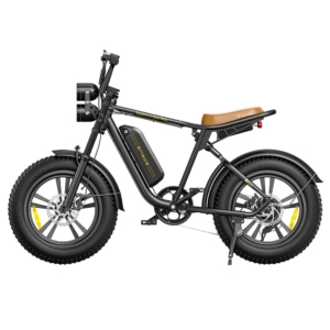 Engwe M20 Electric Bike