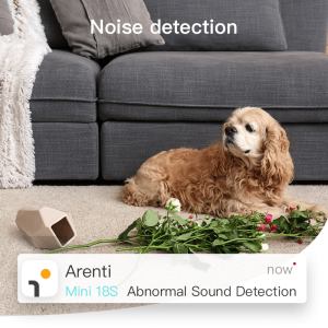 Laxihub 1080P Minicam Camera