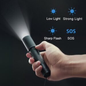 Philips SFL2185 Portable Flashlight