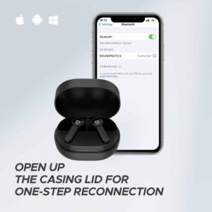 SOUNDPEATS Q Earbuds