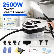 GlowSkinHubPro 2500W Kézi Gőztisztító