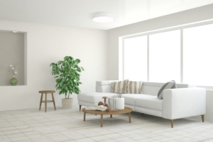 The Brightest Ideas: Top Smart Ceiling Lights to Illuminate Your Home