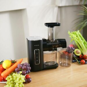 BlitzHome BH-JC01 Cold Press Juicer