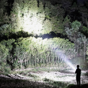 Xanes P500 Flashlight