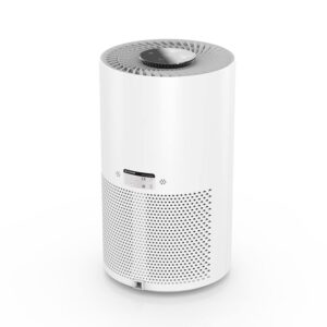 BlitzHome BH-AP1C Smart Air Purifier