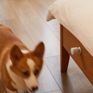 Xiaomi Youpin Qingping CGPR1 Motion Ambient Light Sensor