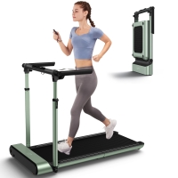 WalkingPad R1-H Treadmill