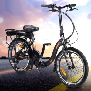 FAFREES 20F054 250W Electric Bike 20 Inch