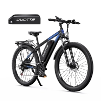 DUOTTS C29-L Electric Bike – 750W Dual Battery, 29″ Tires